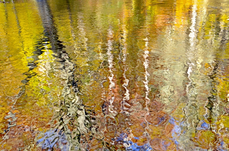 Autumn Monet