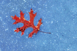 Shadows, Light, Texture and Curves