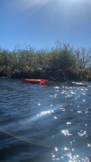 “Place your hands into soil to feel grounded. Wade in water to feel emotionally healed. Fill your lungs with fresh air to feel mentally clear. Raise your face to the heat of the sun and connect with that fire to feel your own immense power”

– Victoria Erickson, Rebelle Society

@natureformysoul #natureformysoul #natureismytherapy #reels #naturetherapy #beautyiseverywhere #naturelover #natureismychurch #natureismyhome #adirondacks #paddling #kayaking #fall #peace