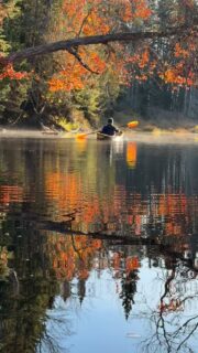 “Harmony is the feeling that arises from not wanting to be somewhere else, doing something else.” —Raj Raghunathan

Hoping your Sunday is your version of perfect. 
@natureformysoul #natureformysoul #natureismytherapy #reels #naturetherapy #naturelover #natureismychurch #natureismyhome #kayaking #paddling #addirondacks #fall #beautyiseverywhere