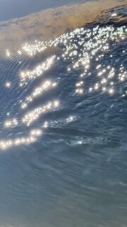 It’s beautiful out there! This is your reminder to step outside… happy weekend! 

@natureformysoul #natureformysoul #natureismytherapy #reels #naturetherapy #beautyiseverywhere #naturelover #natureismychurch #natureismyhome