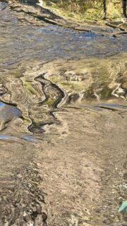 Wishing peace and healing to all of those who are grieving the loss of a loved ones this holiday. 

@natureformysoul #natureformysoul #natureismytherapy #reels #naturetherapy #grief